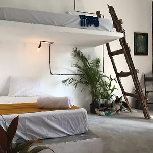Black Jaguar , Bacalar México